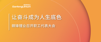 贛鋒鋰業(yè)召開(kāi)職工代表大會(huì) 堅(jiān)持向奮斗者傾斜更多資源